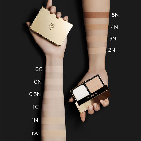 PARURE GOLD Base Compact Skin Control 2N